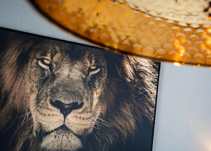 Alojamento de Acomodação e Pequeno-almoço Parade Elluf Venlo