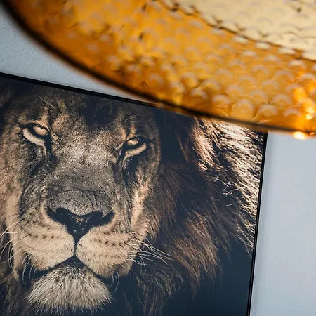 Bed & Breakfast Parade Elluf Venlo